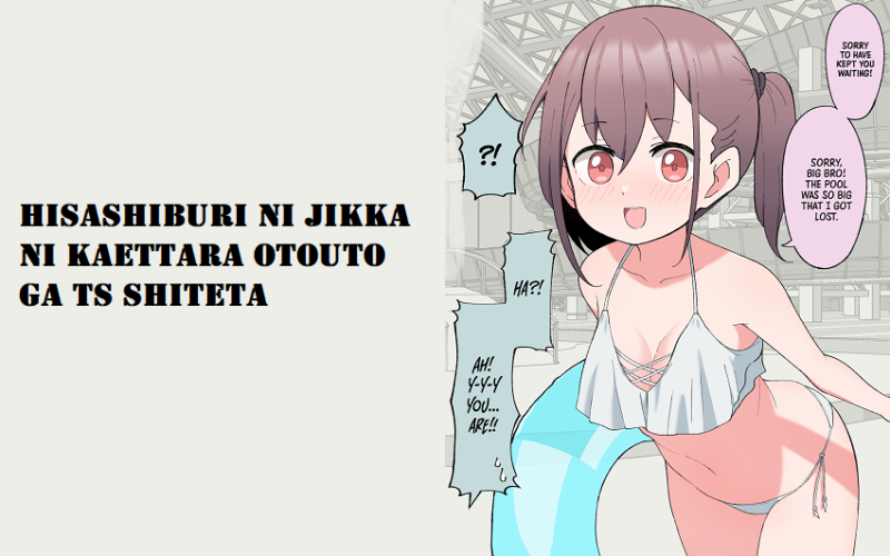 Hisashiburi ni Jikka ni Kaettara Otouto ga Ts Shiteta