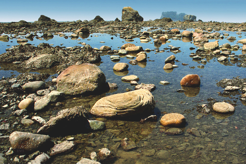 Olympic National Park, Washington